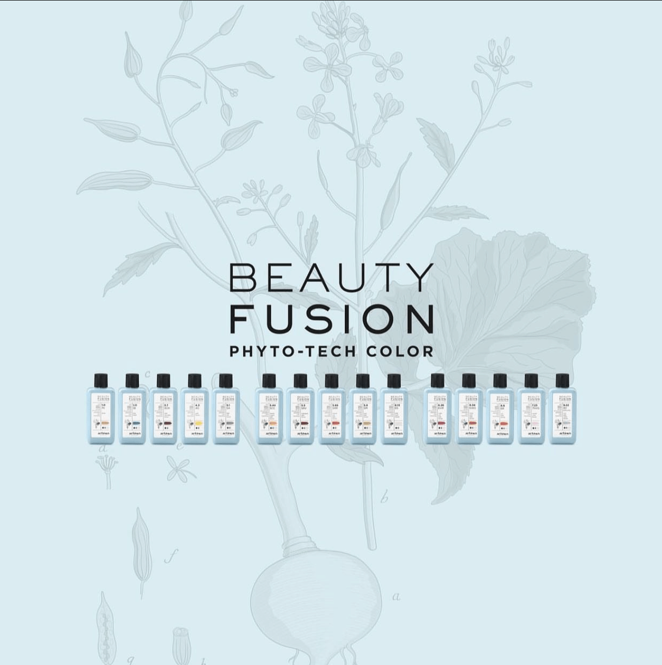 Colección Beauty Fusion en Pego